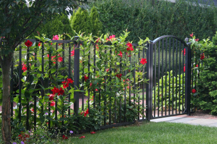 Fence-and-Gates_7_Web